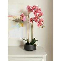The Very Collection 65Cm Real Touch Phalaenopsis In Black Ceramic Pot
