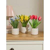 The Very Collection 20Cm Set Of 3 Flowers In Ceramic Pot