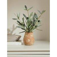 The Very Collection 37Cm Olive Plant In Cement Pot