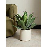 The Very Collection 57Cm Agave In Plastic Pot