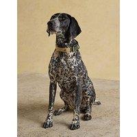 Joules Khaki Collar - Medium