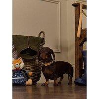 Joules Tan Collar - Small