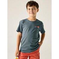 Regatta Boys Bosley T-Shirt - Grey