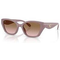 Coach 0Hc8434U Irregular Sunglasses - Black