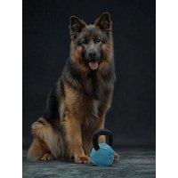 Nike Max Fusion Max Fusion Kettle Bell Dog Toy For Large Dogs
