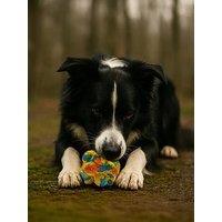 Nike Max Fusion Max Fusion Pop It Dog Toy For Medium Dogs