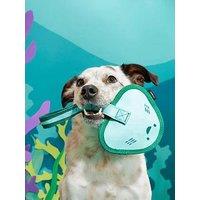 Bark Flingray Dog Toy