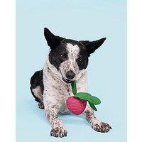 Bark Turnt Up Turnip Dog Toy