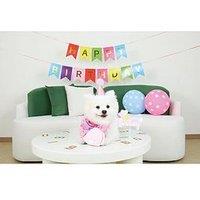 M-Pets Party Time Dog Lady'S Set