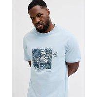 Jack & Jones Plus Honolulu Graphic T-Shirt - Light Blue