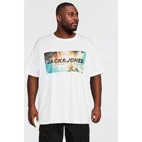 Jack & Jones Plus Indiana T-Shirt - White
