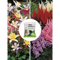 You Garden Perfect For Shade' Bare Root Collection