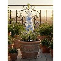 Streetwize Solar Delphinium Flowers Lights