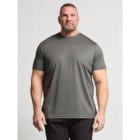 Badrhino Logo T-Shirt - Grey