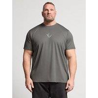 Badrhino Ironrhino Short Sleeve Logo T-Shirt - Grey