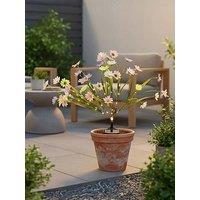 Streetwize Solar Wild Chrysanthemum Flowers Lights