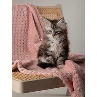 Scruffs My First Bed - Starlight Puppy & Kitten Calming Blanket