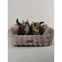 Scruffs My First Bed - Cloud Puppy & Kitten Calming Box Bed