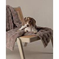 Scruffs My First Bed - Cloud Puppy & Kitten Calming Blanket