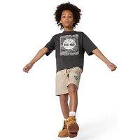 Timberland Boys Graphic Short Sleeve T-Shirt - Dark Grey