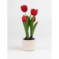 Scottish Everlastings 36Cm Red Tulips In Cement Pot