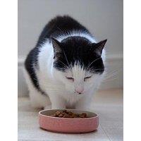 Mason Cash Colour Mix Pink Set Of 2 Cat Saucers 13Cm