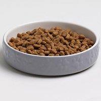 Mason Cash Colour Mix Grey Set Of 2 Cat Saucers 13Cm