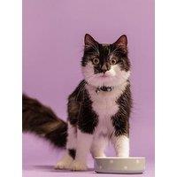 Mason Cash Polka Dot Grey Set Of 2 Pet Bowls 13Cm