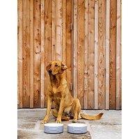 Mason Cash Colour Mix Grey Set Of 2 Dog Bowls 20Cm