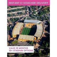 Activity Superstore Helicopter Stadium Tour