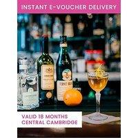 Activity Superstore Cambridge Speakeasy Cocktail Coaching Experience