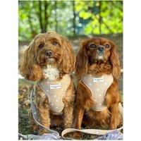 Cocopup Chai Hearts Adjustable Neck Harness - Small