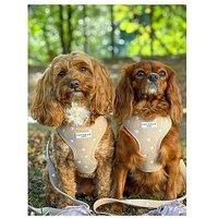 Cocopup Chai Hearts Adjustable Neck Harness - Medium