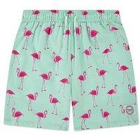 Abercrombie & Fitch Boys Core Poly Swim Short - Green