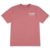 Abercrombie & Fitch Boys Nyc Est 1892 Logo Short Sleeve T-Shirt - Pink