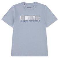Abercrombie & Fitch Boys Brick Type Short Sleeve T-Shirt - Blue