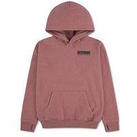Abercrombie & Fitch Boys Pullover Hoodie - Pink