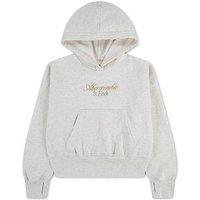 Abercrombie & Fitch Girls Essential Logo Hoodie - Beige