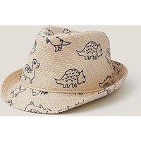 Monsoon Boys Dinosaur Trilby - Multi