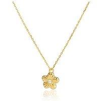 The Love Collection Gold Plated Sterling Silver Flower Cz Necklace
