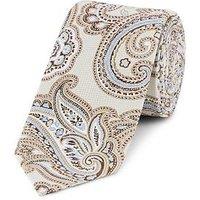 Skopes Cream/Blue Paisley Silk Tie