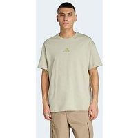 Adidas Terrex Mens Mountain T-Shirt - Green