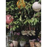 Lights4Fun Set Of 3 Tassel Solar Lanterns