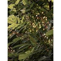 Lights4Fun Bali Wavy Grass Solar Stake Light