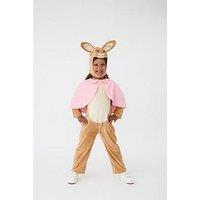 Peter Rabbit Flopsy Bunny Costume
