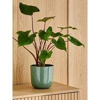 The Very Collection Reactive Glaze Planter - Green