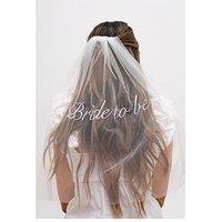 Jon Richard 'Bride To Be' Veil