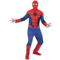 Spiderman Adult Costume