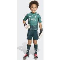 Adidas Junior Liverpool Fc 26/27 Goal Keeper Mini Kit - Green