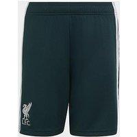 Adidas Junior Liverpool Fc 26/27 Goal Keeper Shorts - Green